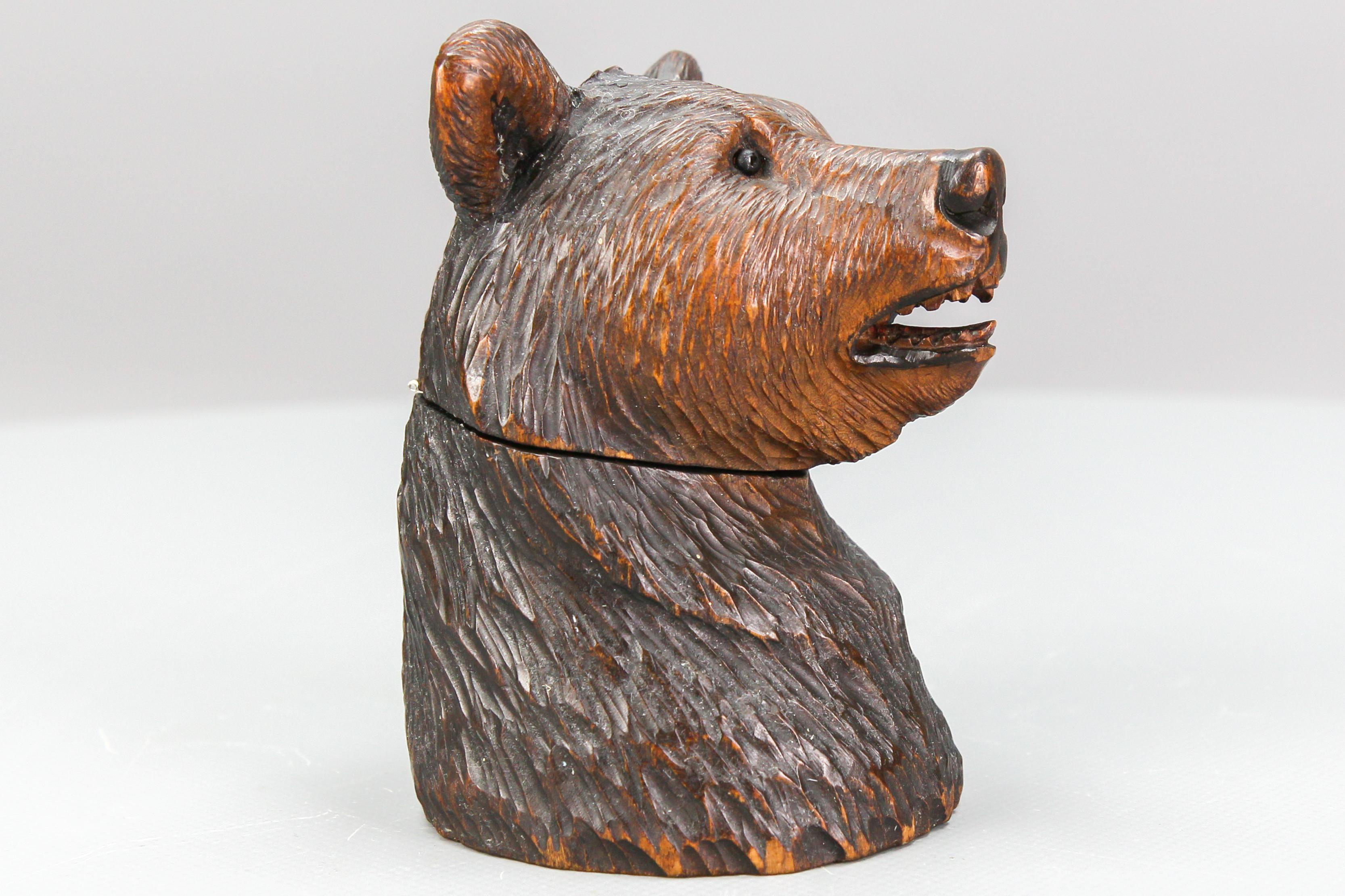 Black Forest Carved Wood Figural Humidor Bear Head with Glass Eyes For Sale 8