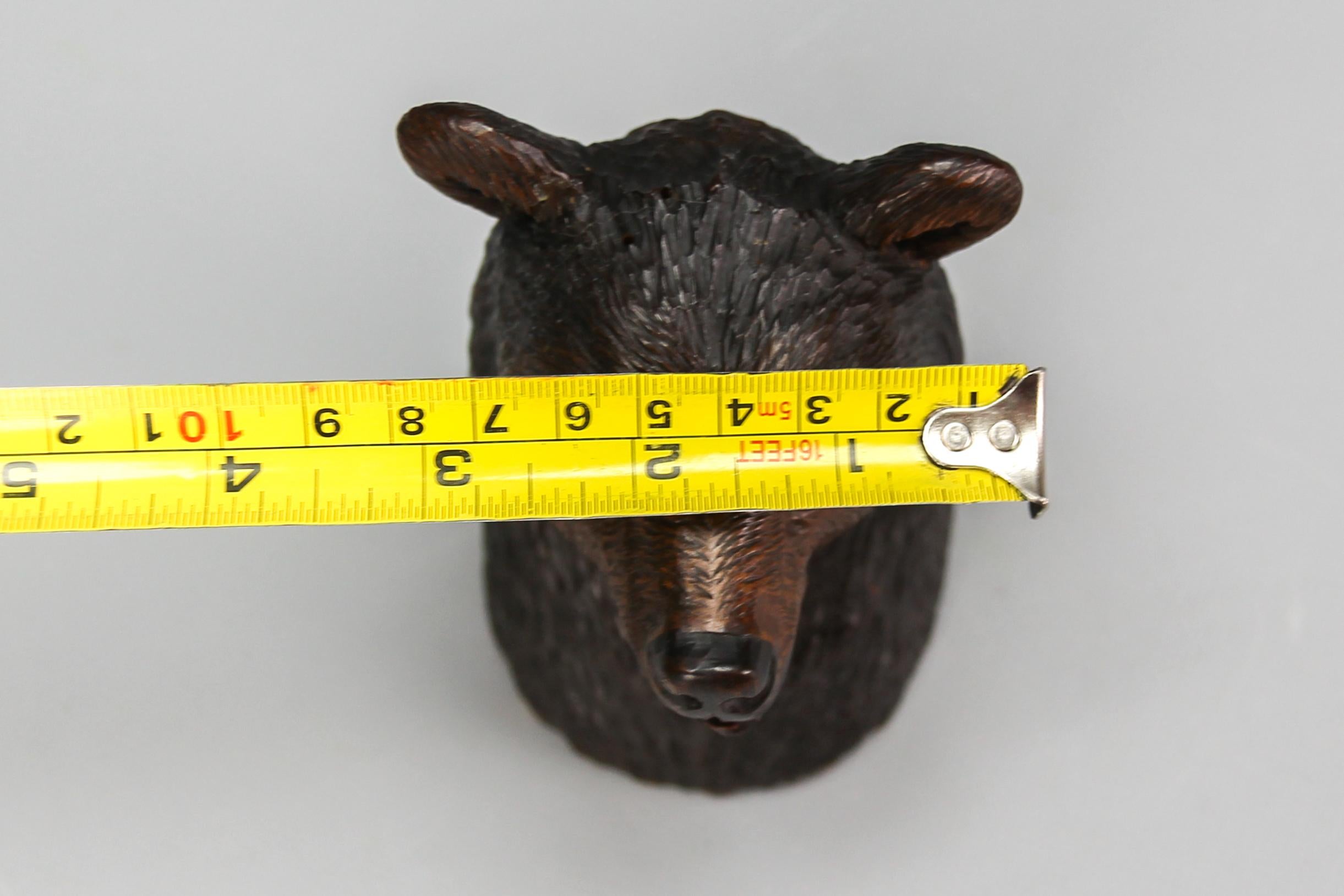 Black Forest Carved Wood Figural Humidor Bear Head with Glass Eyes For Sale 13