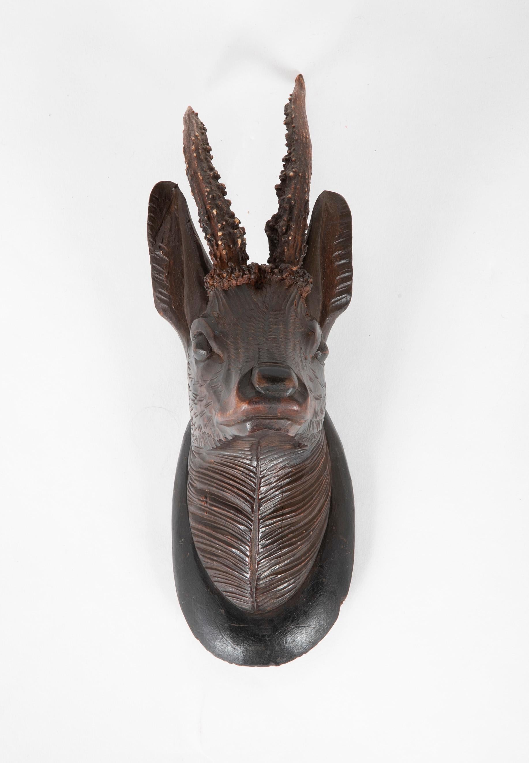 A charming and beautifully carved small scale German Black Forest stags head with real antlers. 
Measures: 11 inches high 4 wide 5 deep.