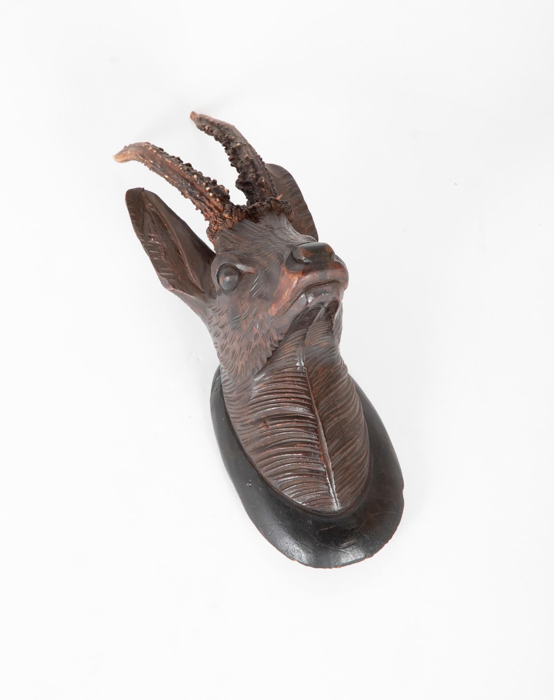 German Black Forest Carved Wood Stag Head Trophy with Antlers