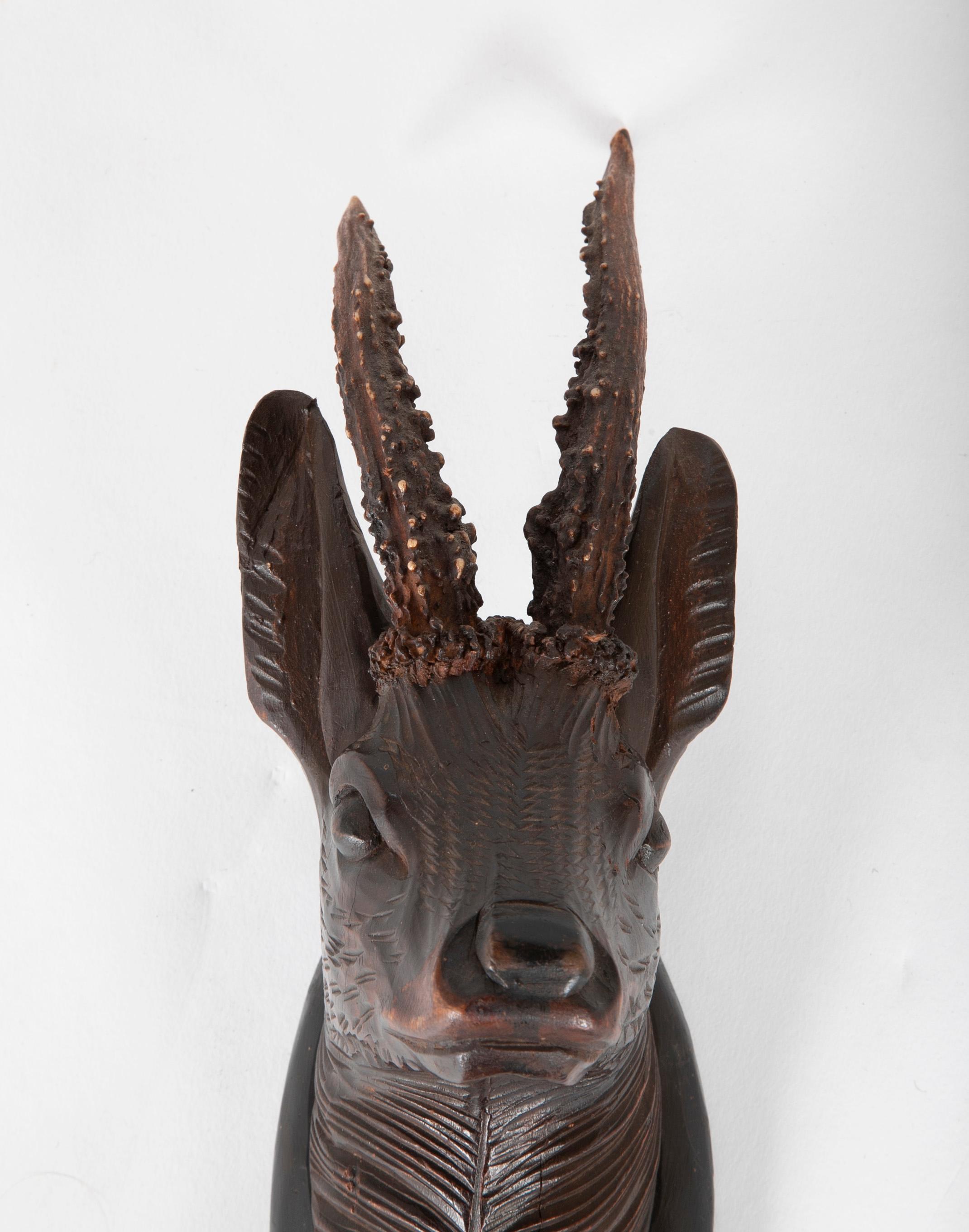 Hand-Carved Black Forest Carved Wood Stag Head Trophy with Antlers