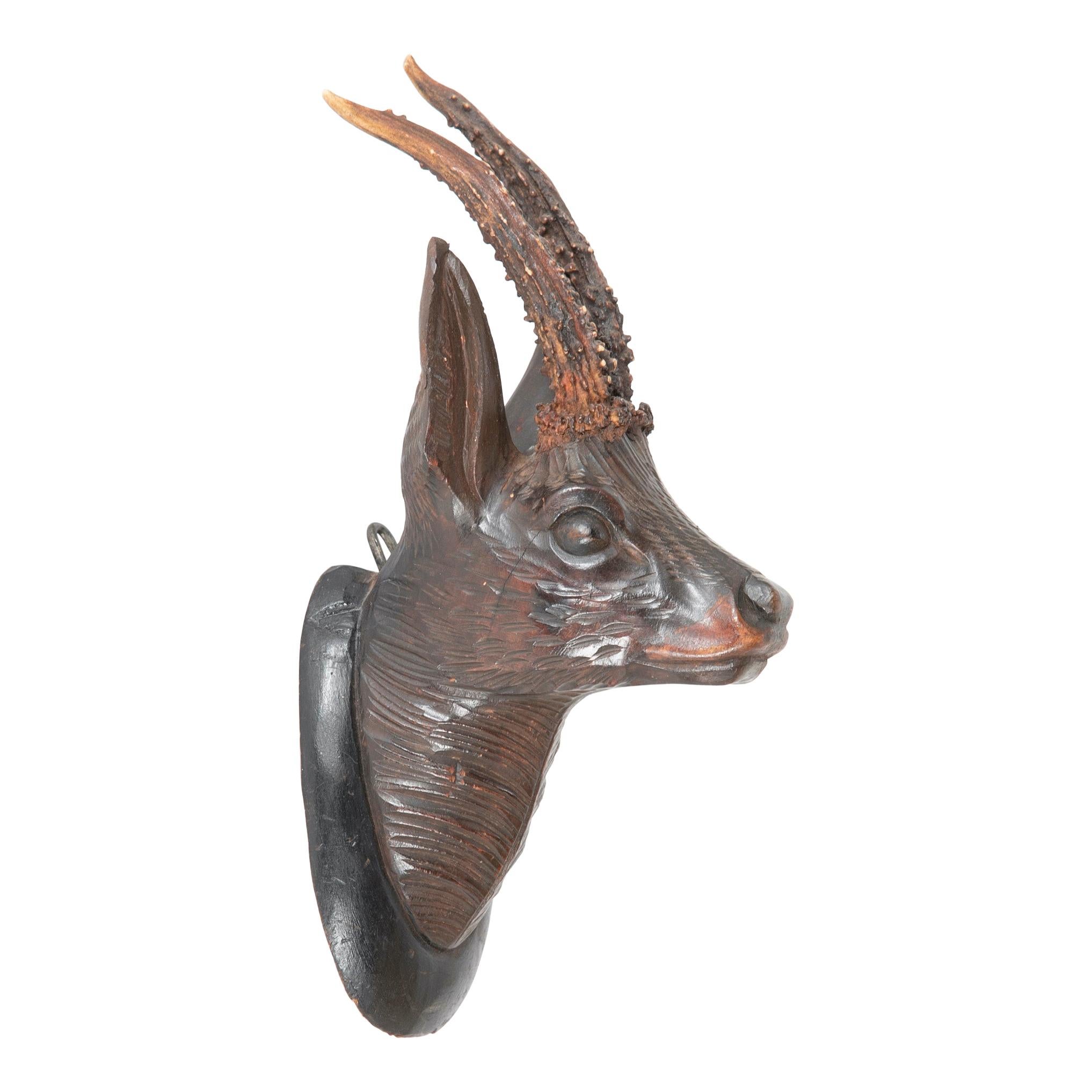 Black Forest Carved Wood Stag Head Trophy with Antlers