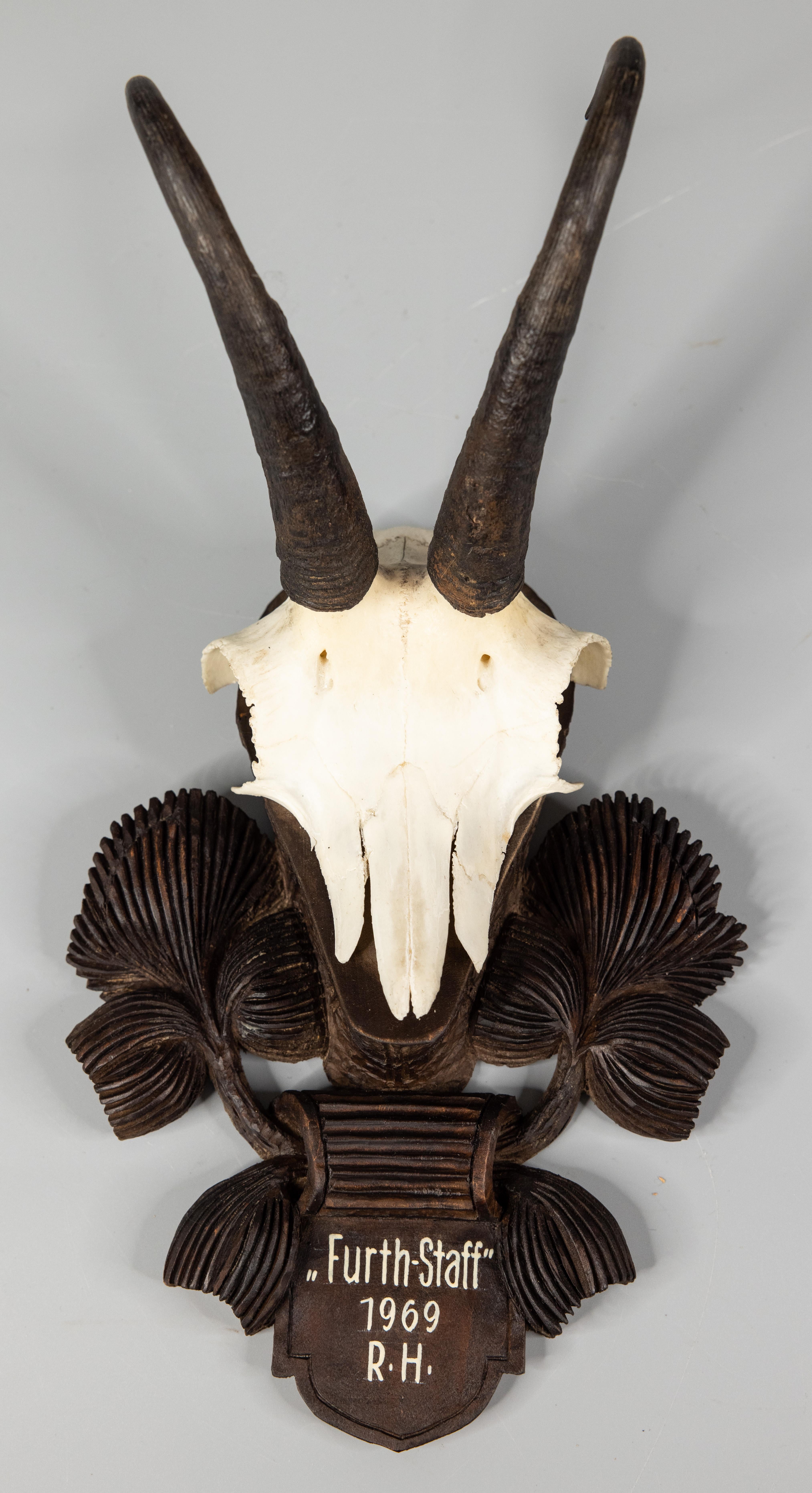 A fine vintage chamois antler horns hunting trophy on a hand carved black forest plaque, dated 1969. The plaque is hand carved with thistle flowers. It's perfect for a study and would make a great gift for Dad! These look fabulous grouped on a wall