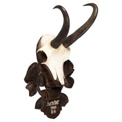 Black Forest Chamois Antlers Hunting Trophy Mount, 1969