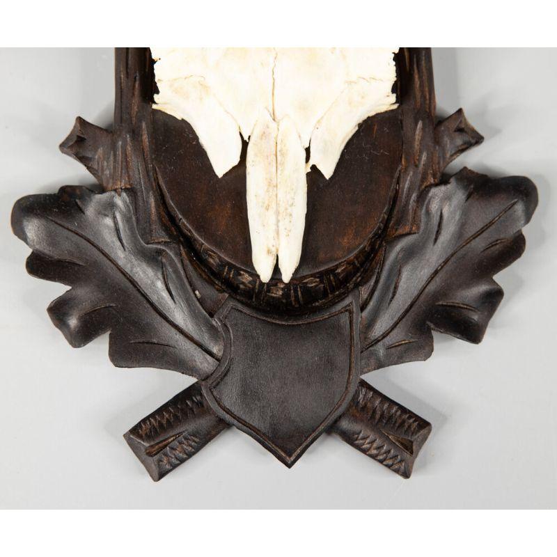 A fine antique chamois antler horns hunting trophy on a hand carved black forest plaque. The plaque is hand carved with oak leaves and branches and was found in an old hunting lodge in Germany. It's perfect for a study and would make a great gift