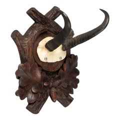 Black Forest Chamois Antlers Hunting Trophy Mount