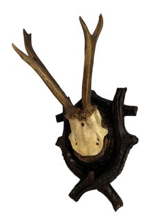 Black Forest Deer Antler Trophy on Hand-Carved Wooden Plaque, Austria