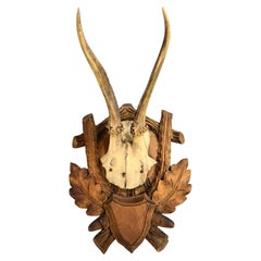 Black Forest Deer Antler Trophy on Hand-Carved Wooden Plaque, Austria