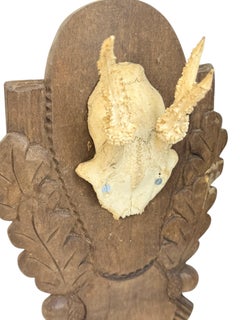 Black Forest Deer Antler uneven Trophy on Hand-Carved Wooden Plaque, Austria