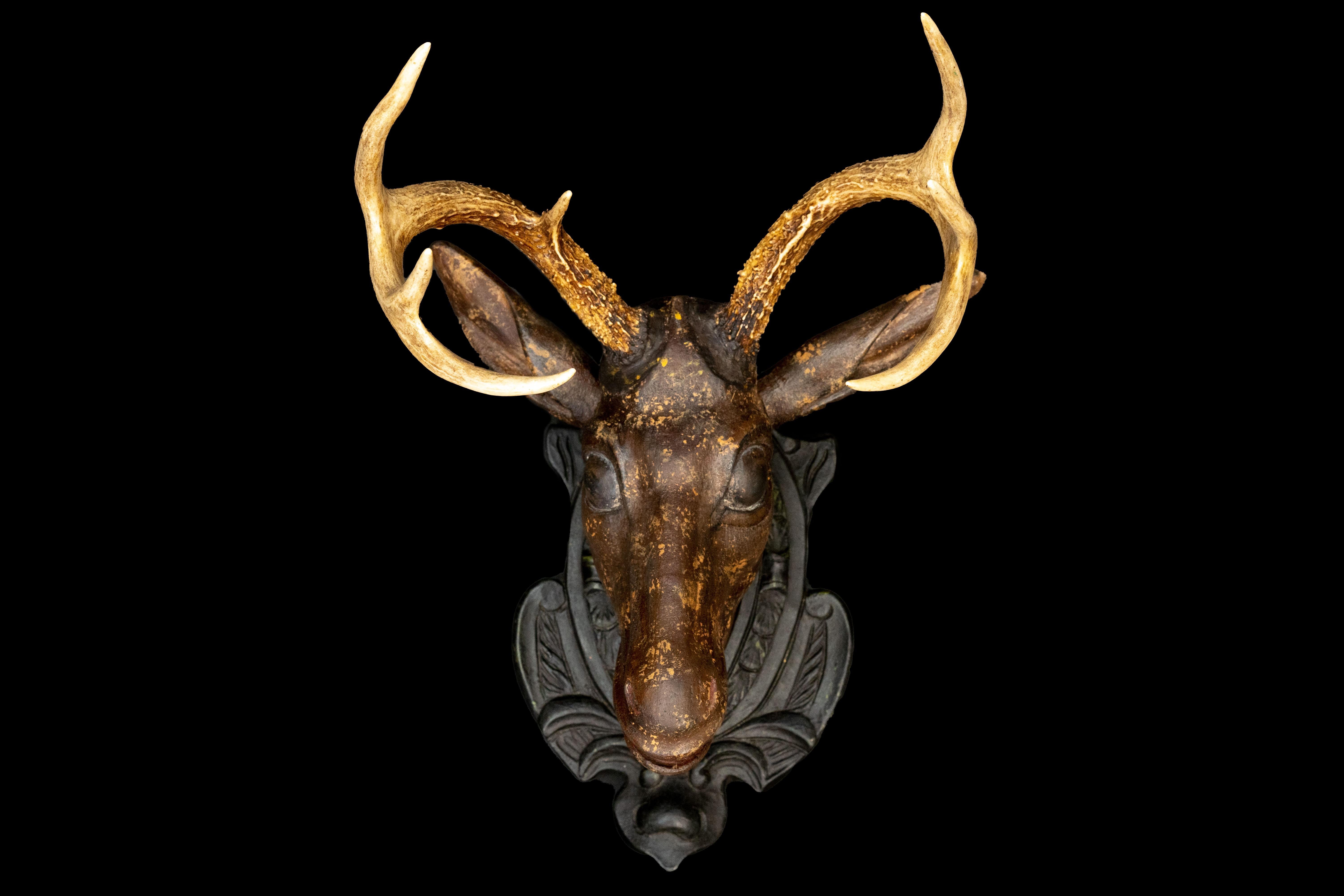 Black forest deer head w/ real antlers:

Measures: 16