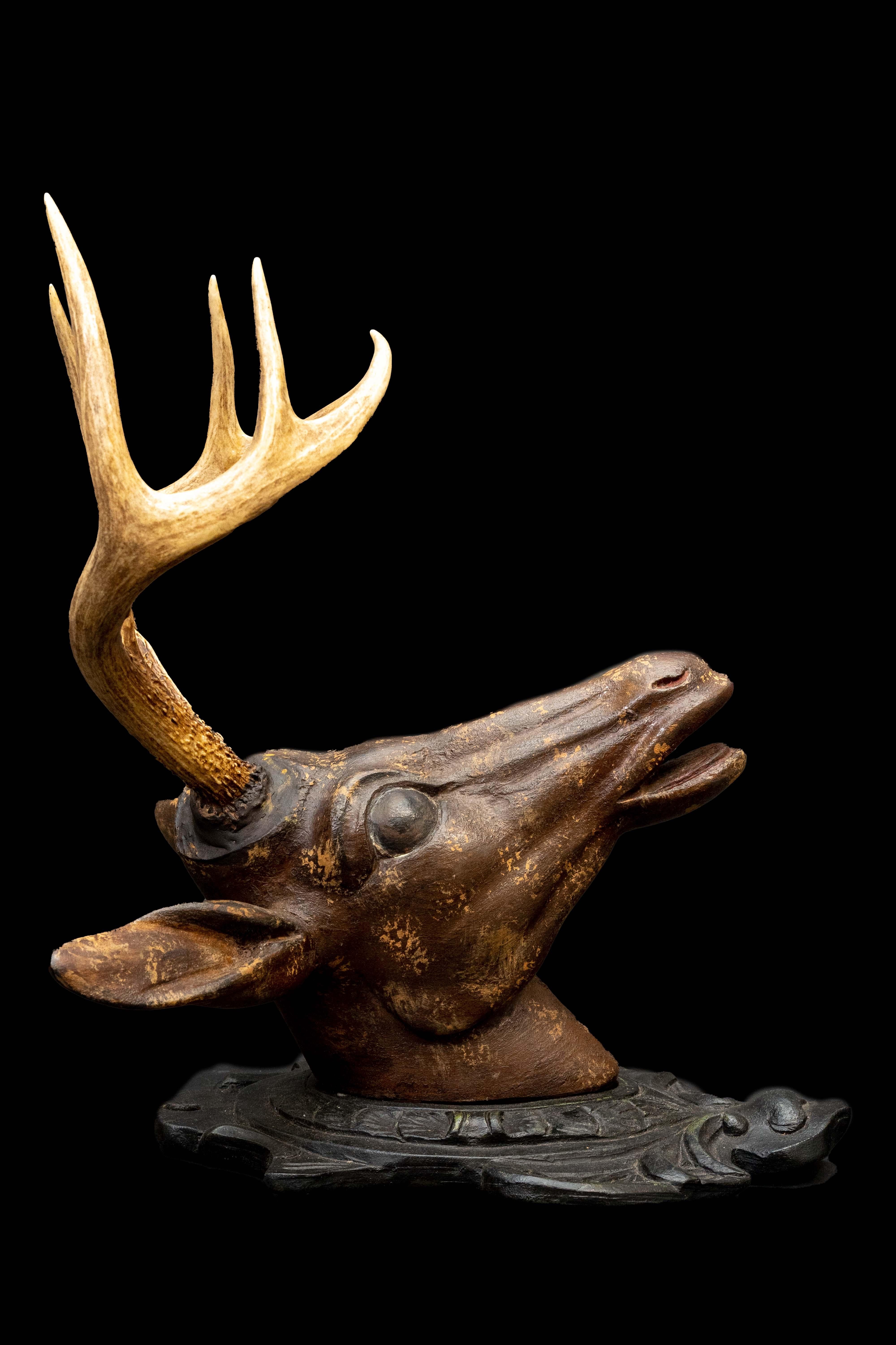 European Black Forest Deer Head w/ Real Antlers