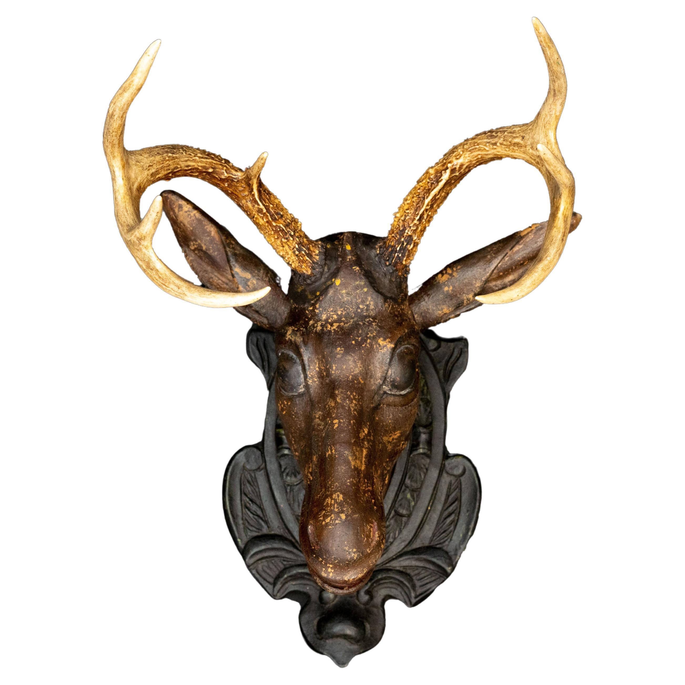 Black Forest Deer Head w/ Real Antlers