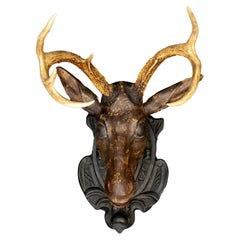 Antique Black Forest Deer Head w/ Real Antlers