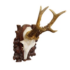 Black Forest Deer Trophy on Carved Wooden Plaque ca. 1900s