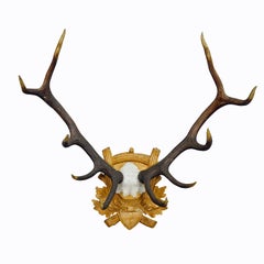 Black Forest Deer Trophy on Carved Wooden Plaque ca. 1930s