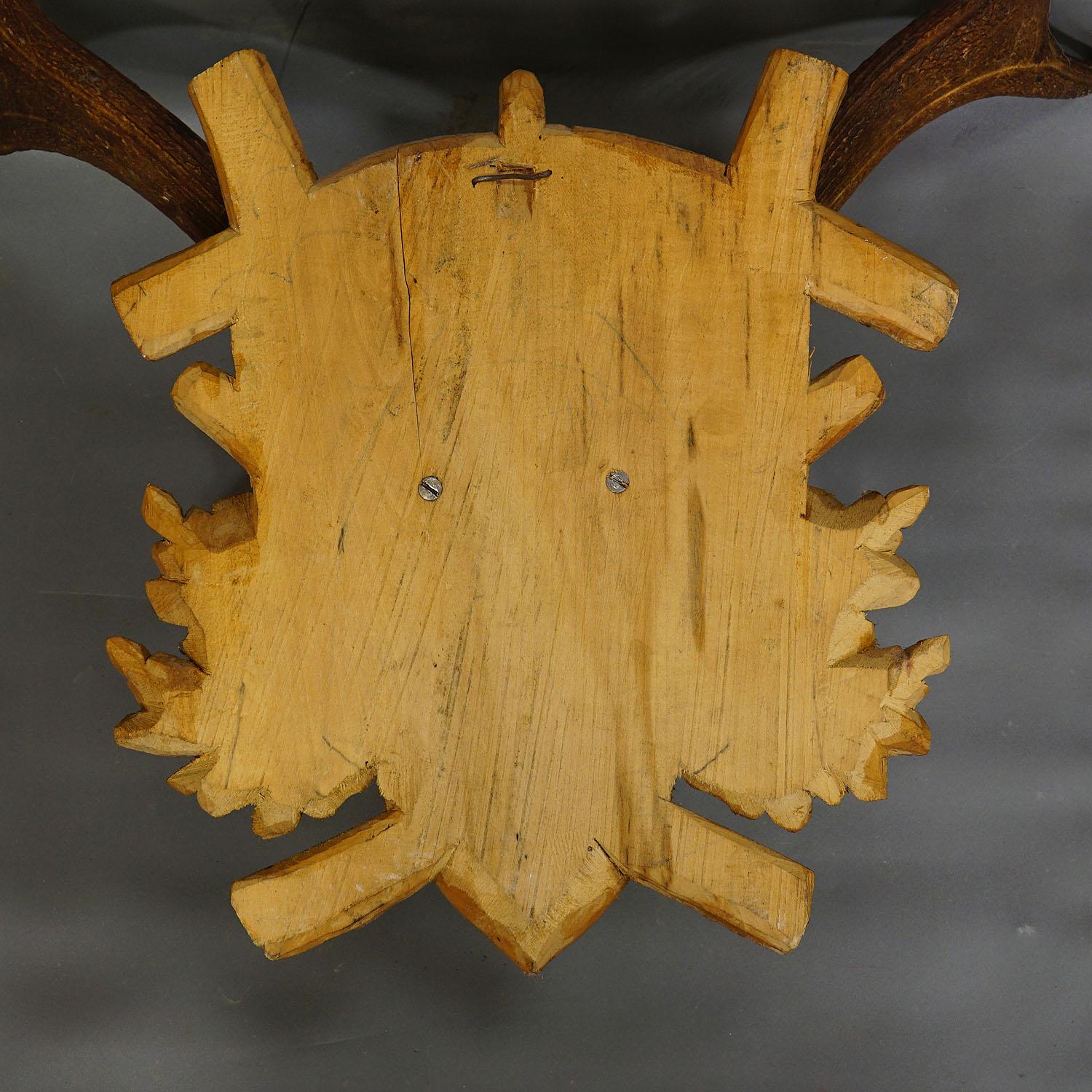 Horn Black Forest Deer Trophy on Carved Wooden Plaque ca. 1930s