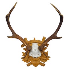 Black Forest Deer Trophy on Carved Wooden Plaque ca. 1930s