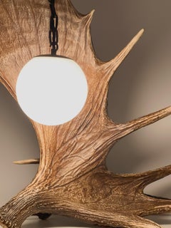 Vintage Fallow Deer Antler Table Lamp with Frosted Glass Globe, 1950s