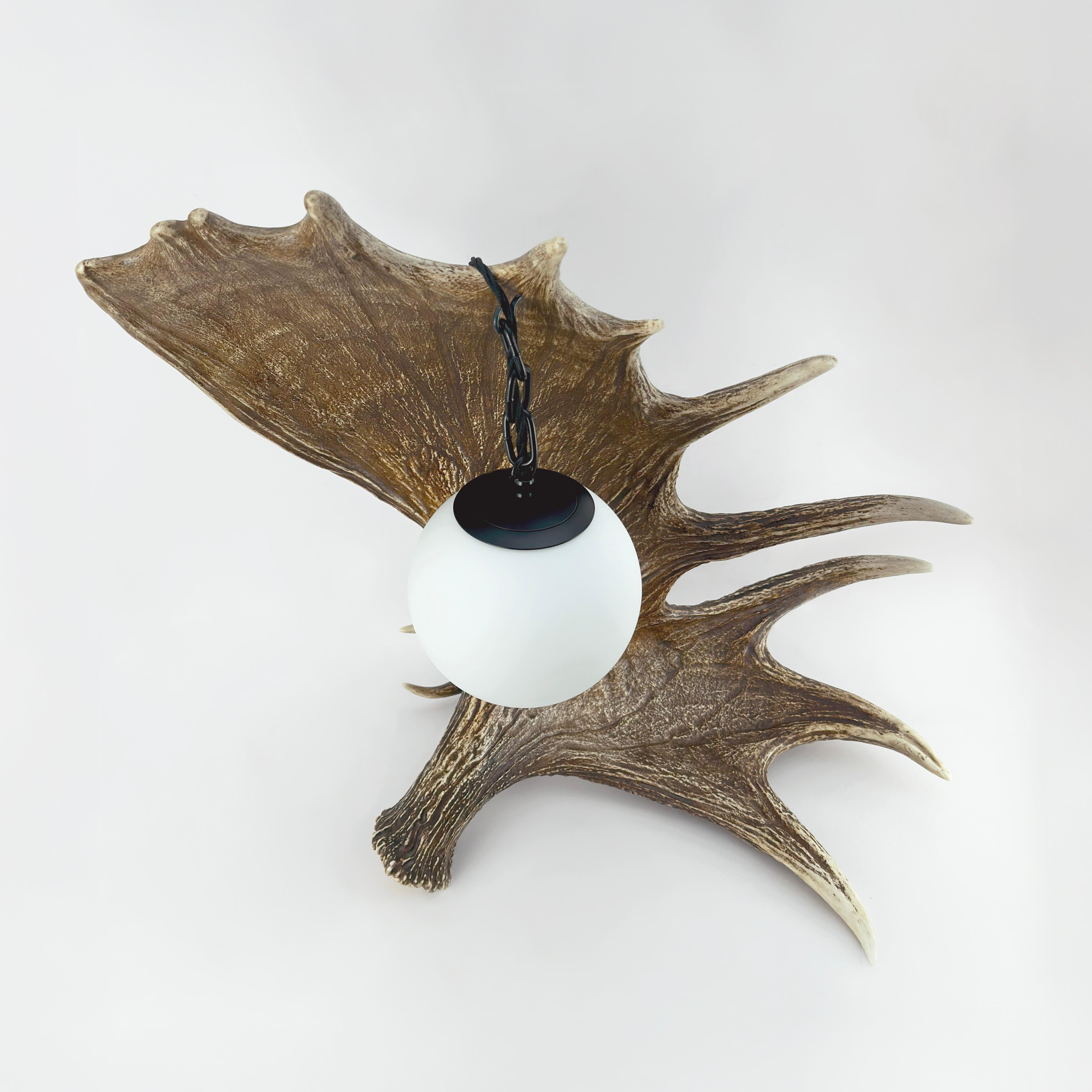 Rustic Black Forest Style Fallow Deer Antler Table Lamp, circa 1950s For Sale 1