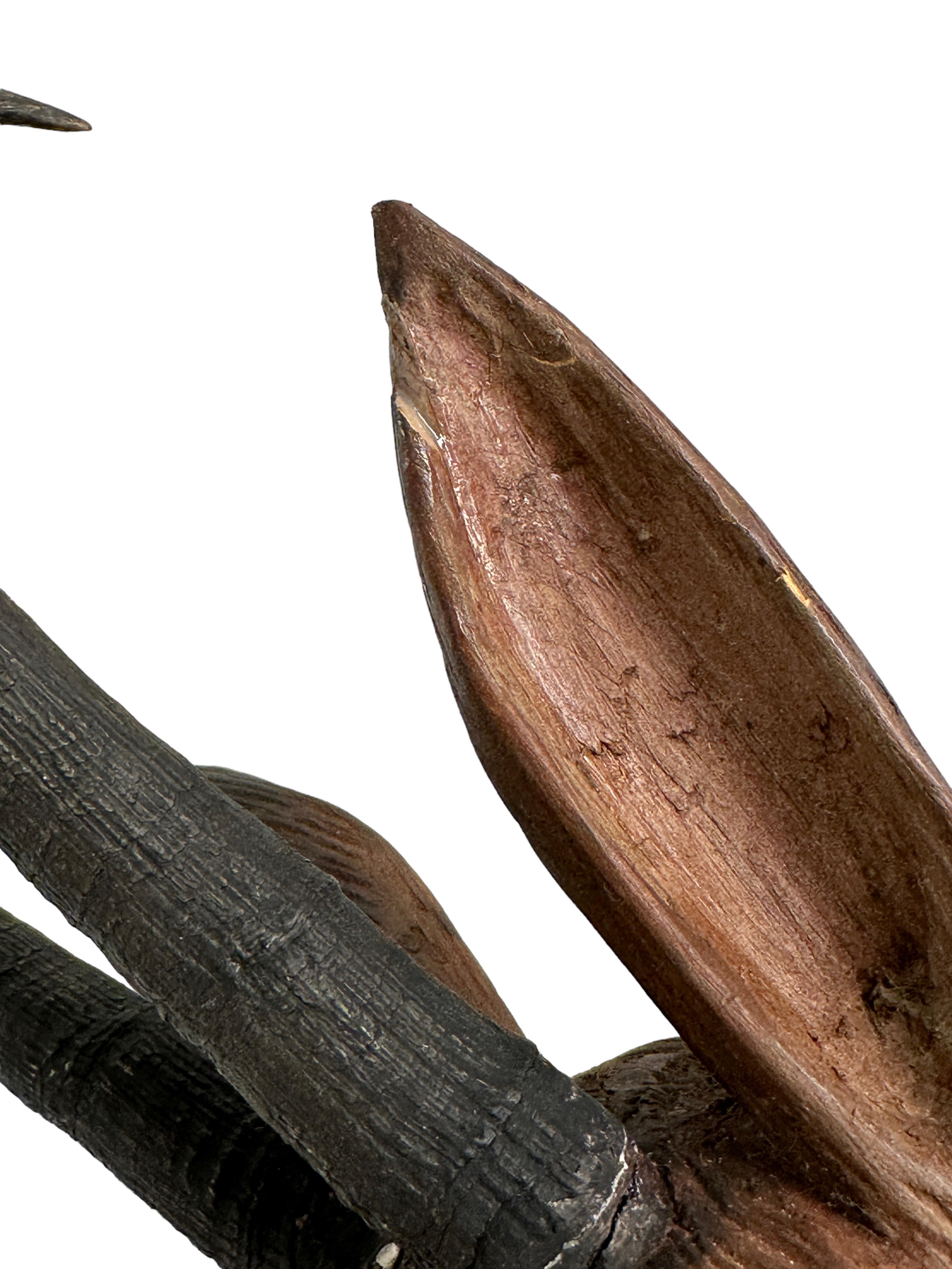 Schwarzwälder geschnitzter Chamois-Kopf aus Holz mit echten Hornen, Volkskunst, 19. Jahrhundert im Angebot 3