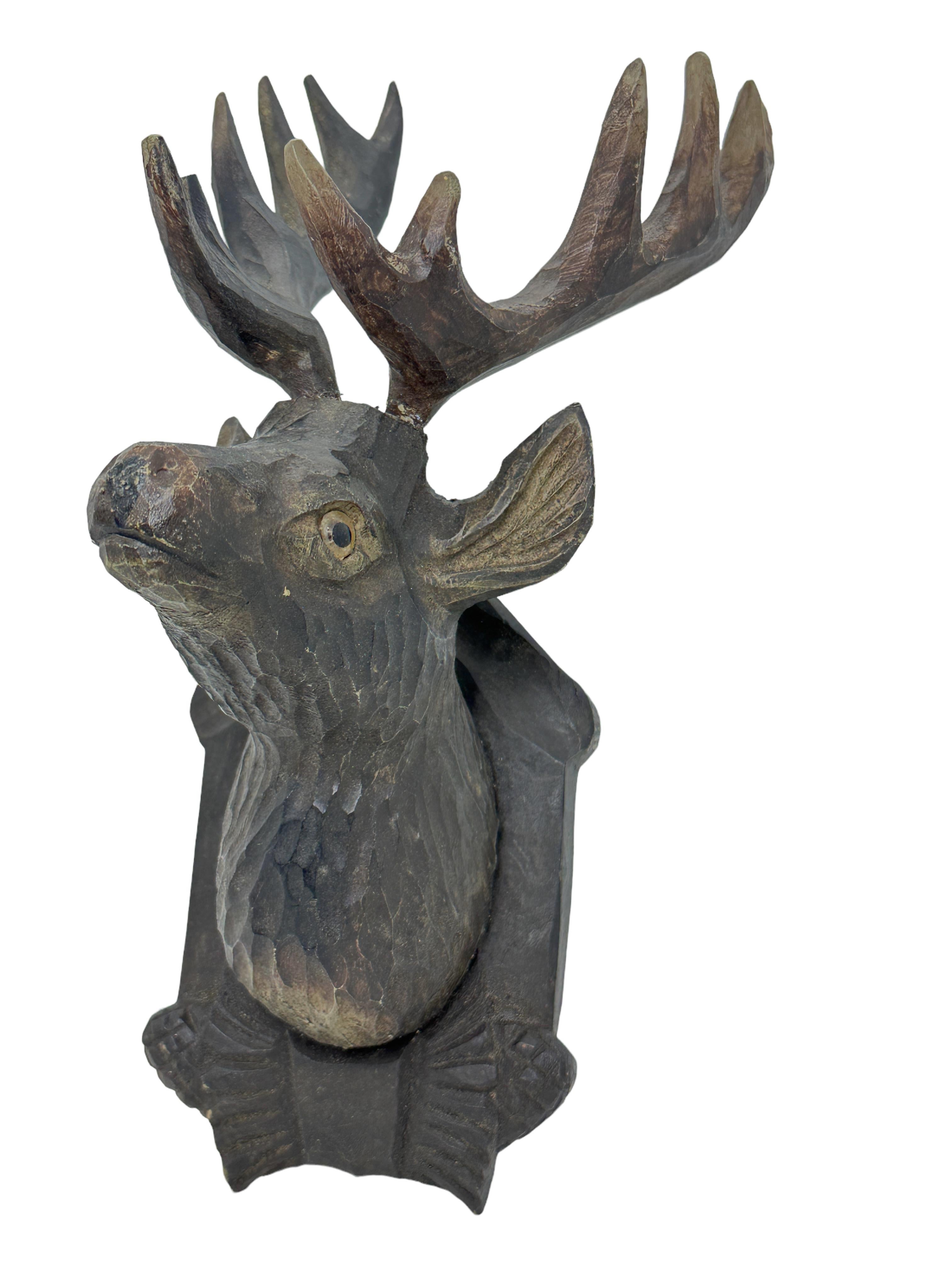 Allemand Tête de cerf en bois sculpté de la Forêt-Noire avec yeux en verre, XIXe siècle en vente