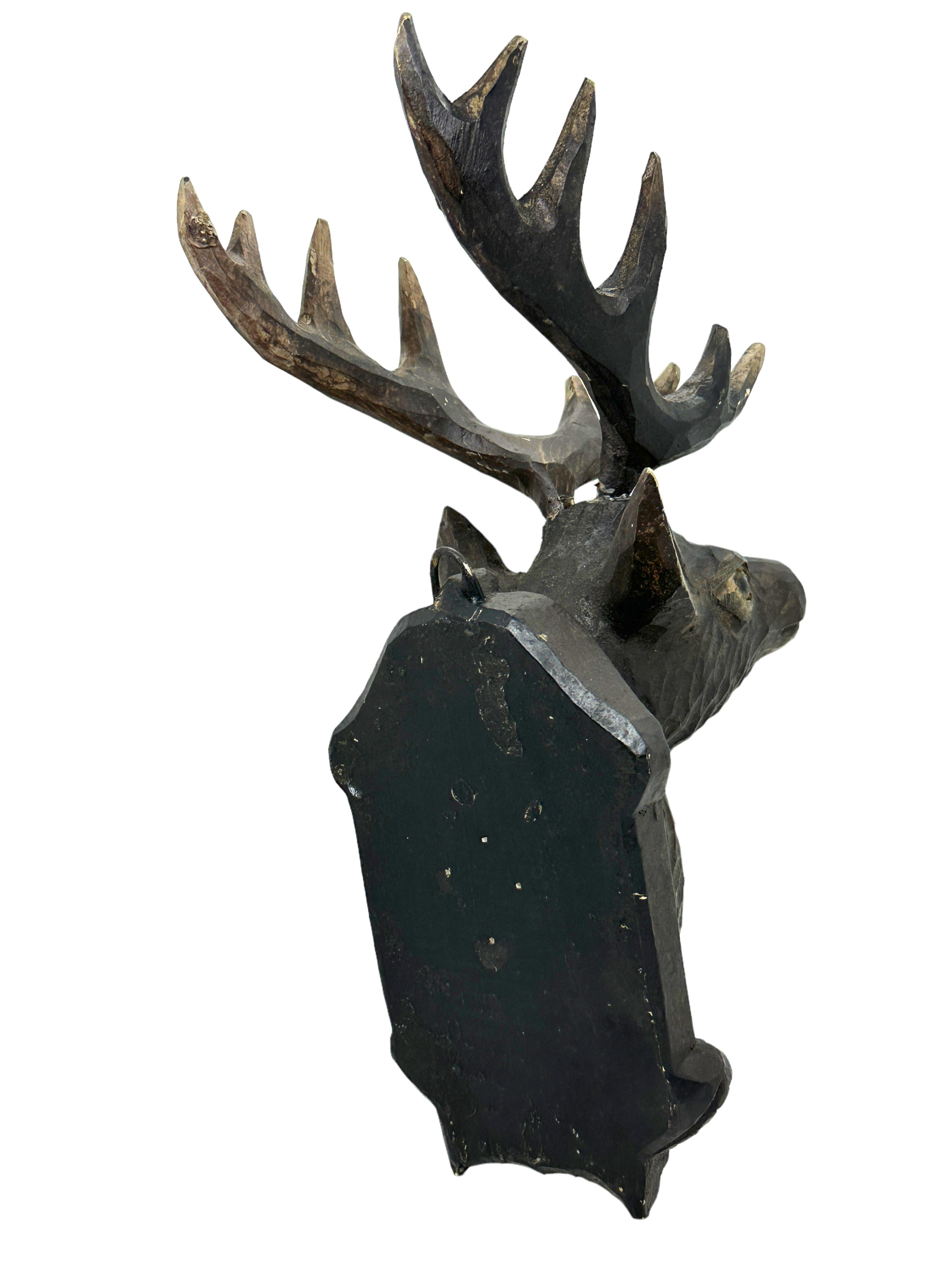 Black Forest Folk Art Carved Wood Deer Head with Glass Eyes, 19th Century For Sale 3