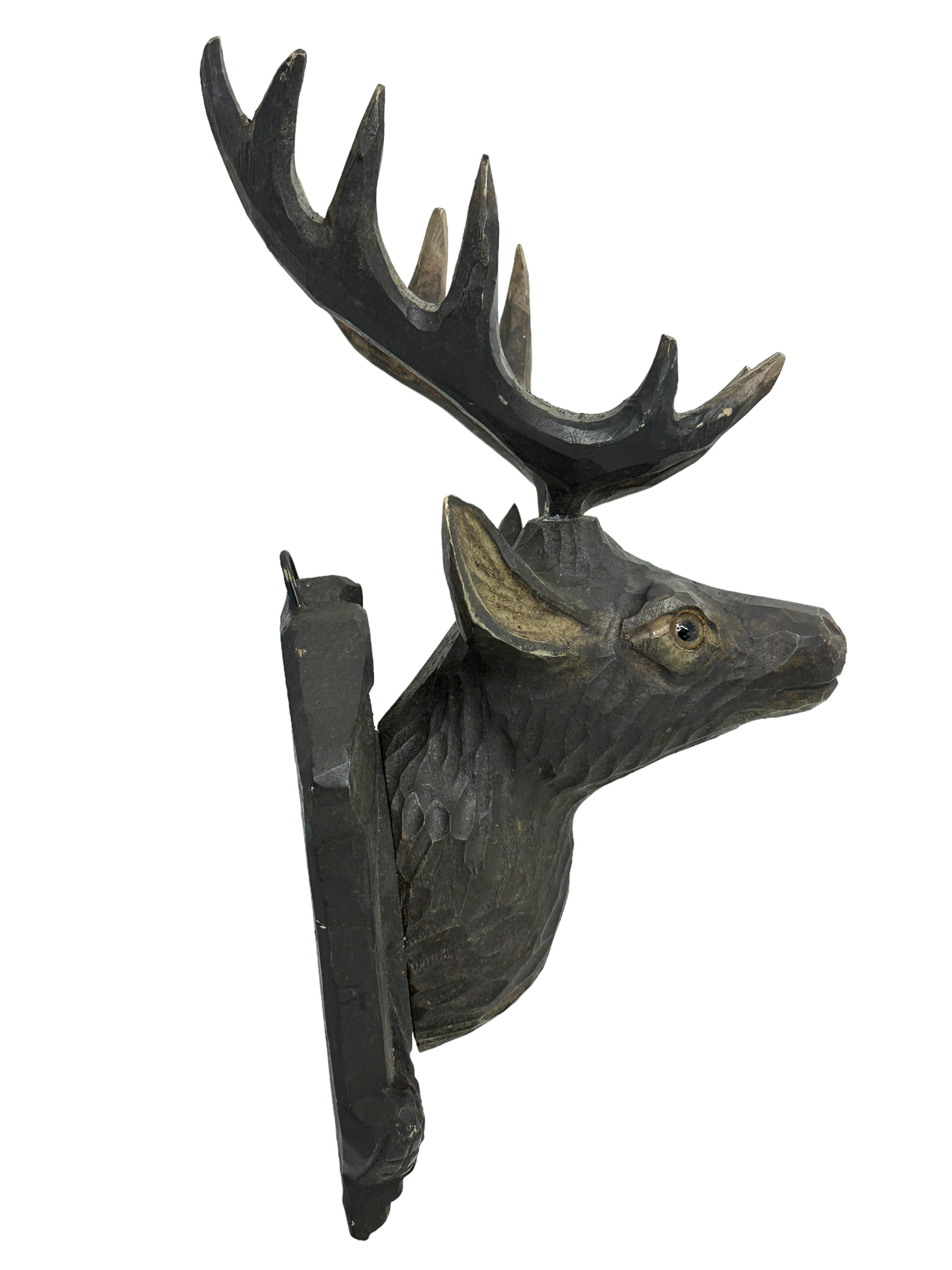 Tête de cerf en bois sculpté de la Forêt-Noire avec yeux en verre, XIXe siècle en vente 3