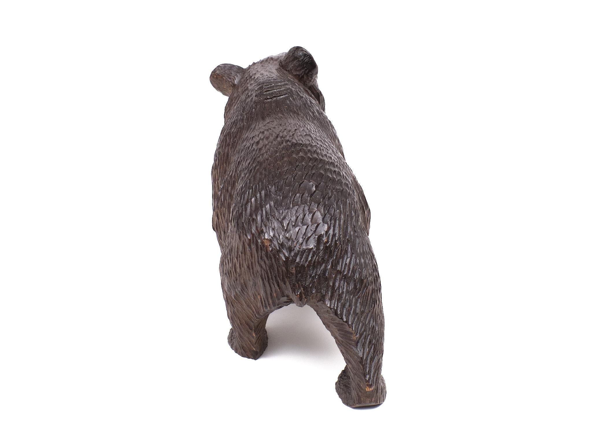 Fruitwood Black Forest glass eye Bear 1920s Germany . For Sale