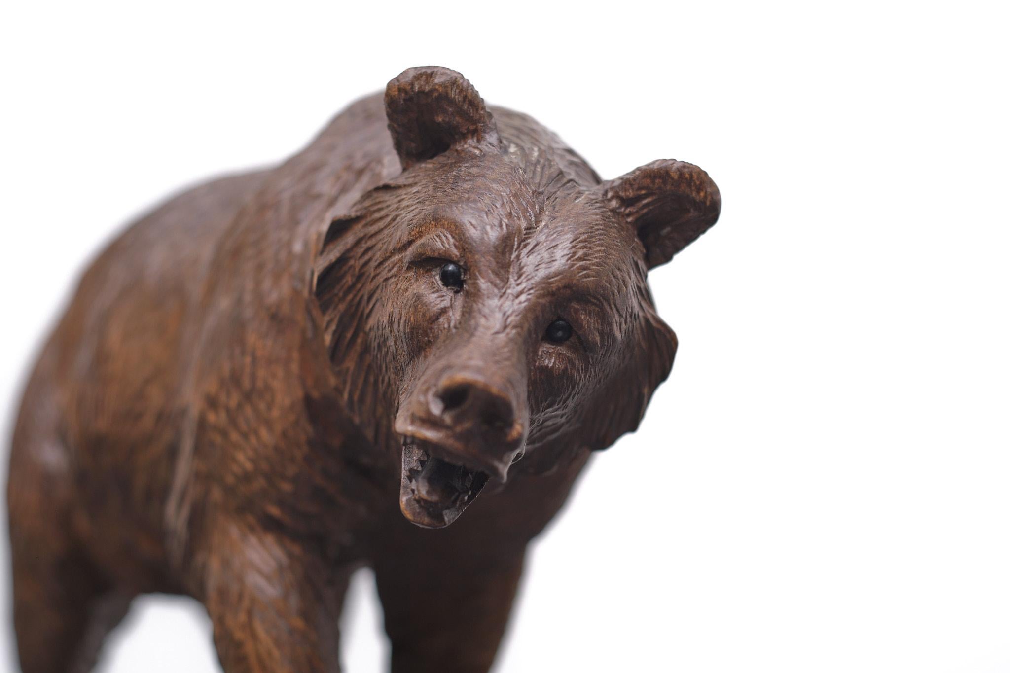 Very well hand carved Brown Bear like the natural pose off this bear.
Black forest 1930/40 Germany.