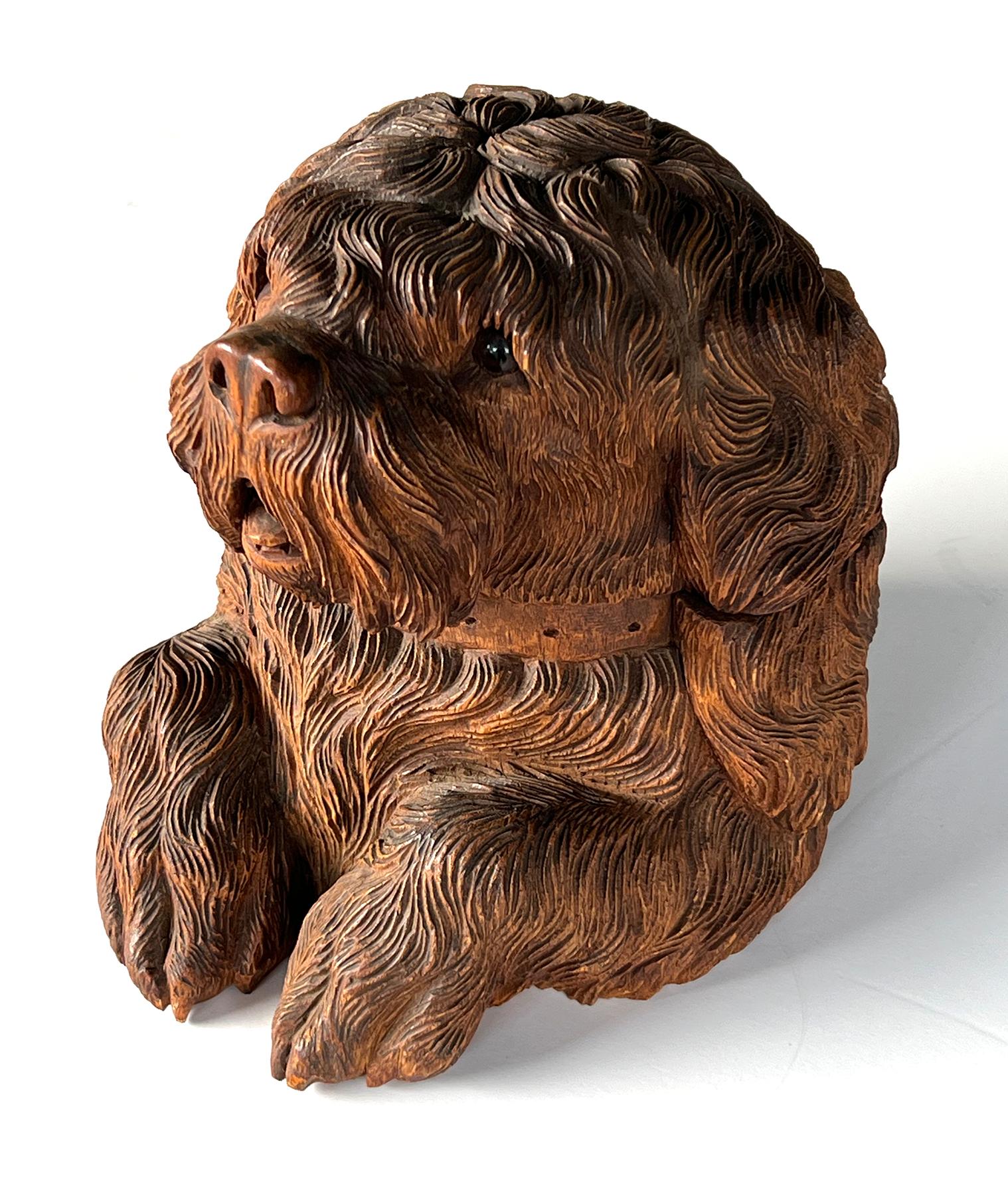 Comment ne pas sourire ? Cette boîte ancienne bien sculptée de la Forêt-Noire représente un chien hirsute expressif avec des yeux de verre, un regard vers l'avant, une bouche ouverte et des oreilles tombantes, le tout sur des pattes relevées ;