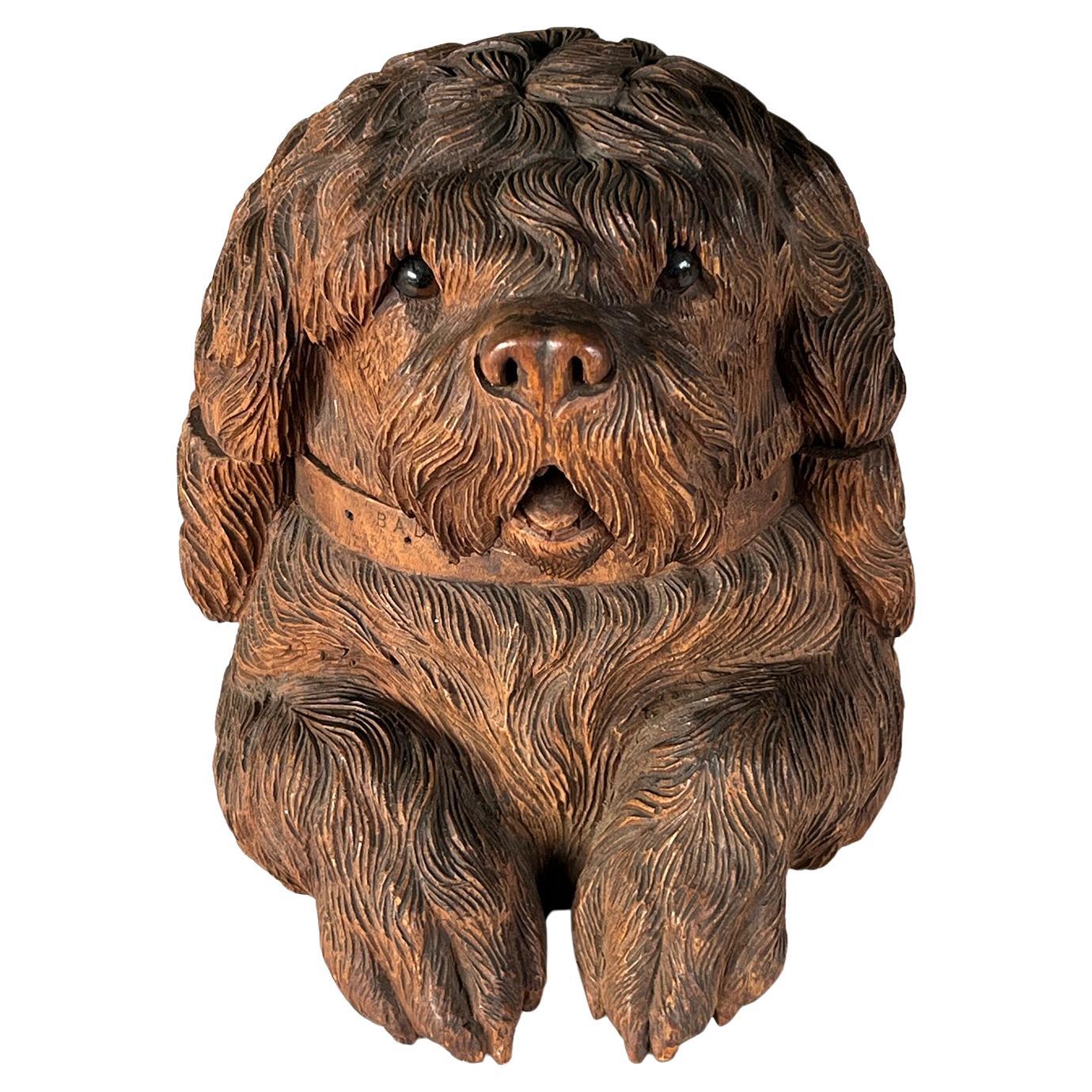 Black Forest Hand-Carved Dog Head Tobacco Jar in the manner of Walter Mader
