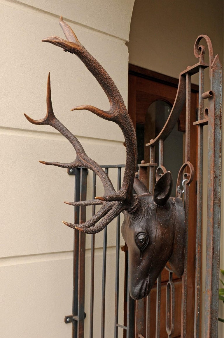 Black Forest Hand Carved Wood Stag Head, circa 1920 with Authentic Antlers For Sale 6