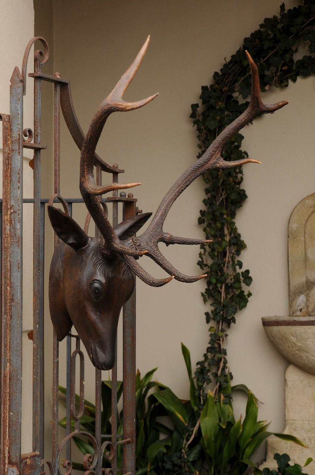 Black Forest Hand Carved Wood Stag Head, circa 1920 with Authentic Antlers In Good Condition In Atlanta, GA