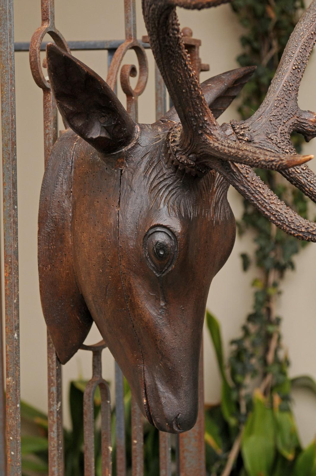 20th Century Black Forest Hand Carved Wood Stag Head, circa 1920 with Authentic Antlers