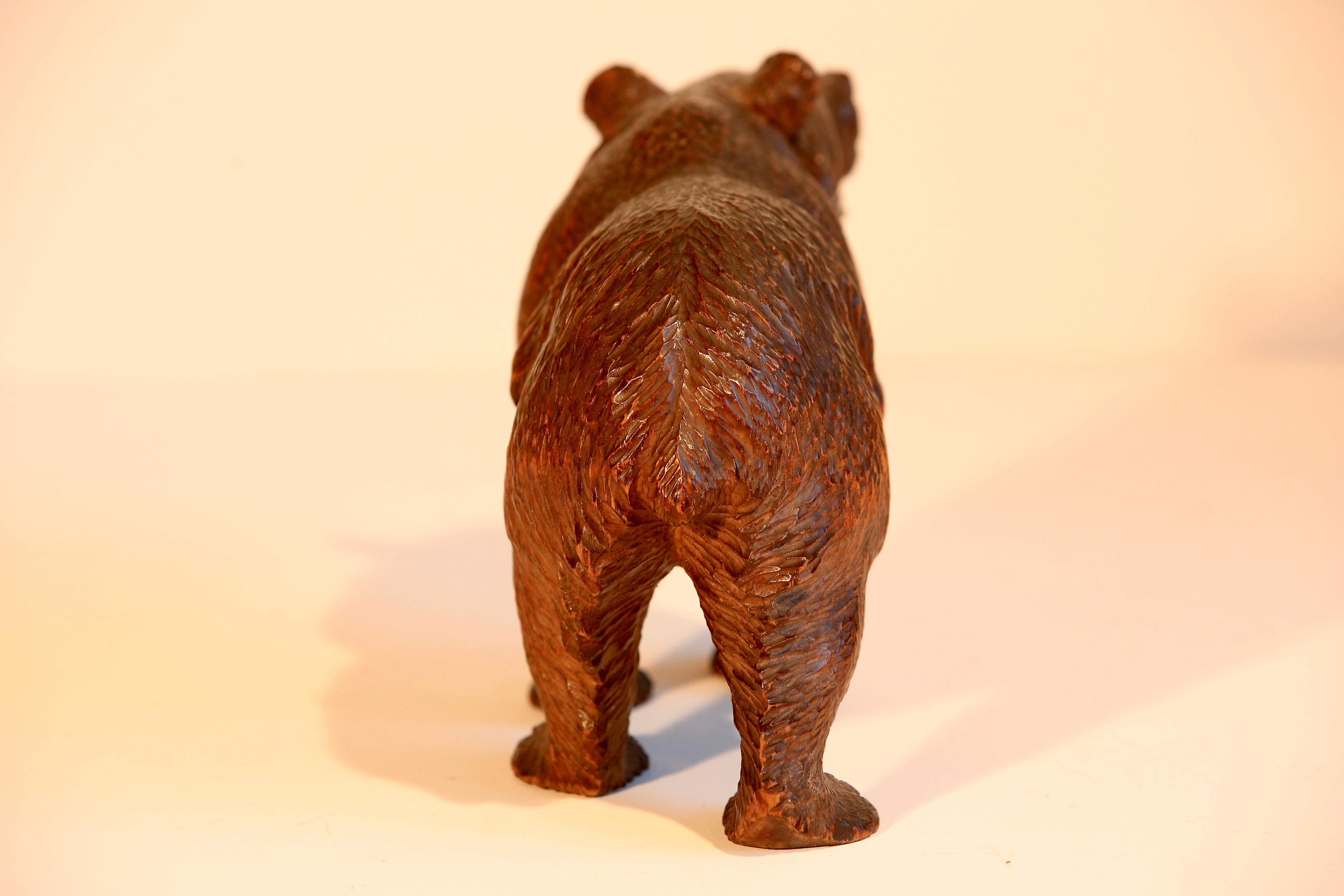 Softwood Black Forest Linden  Wood Carved Swiss Bear Glass Eyes For Sale