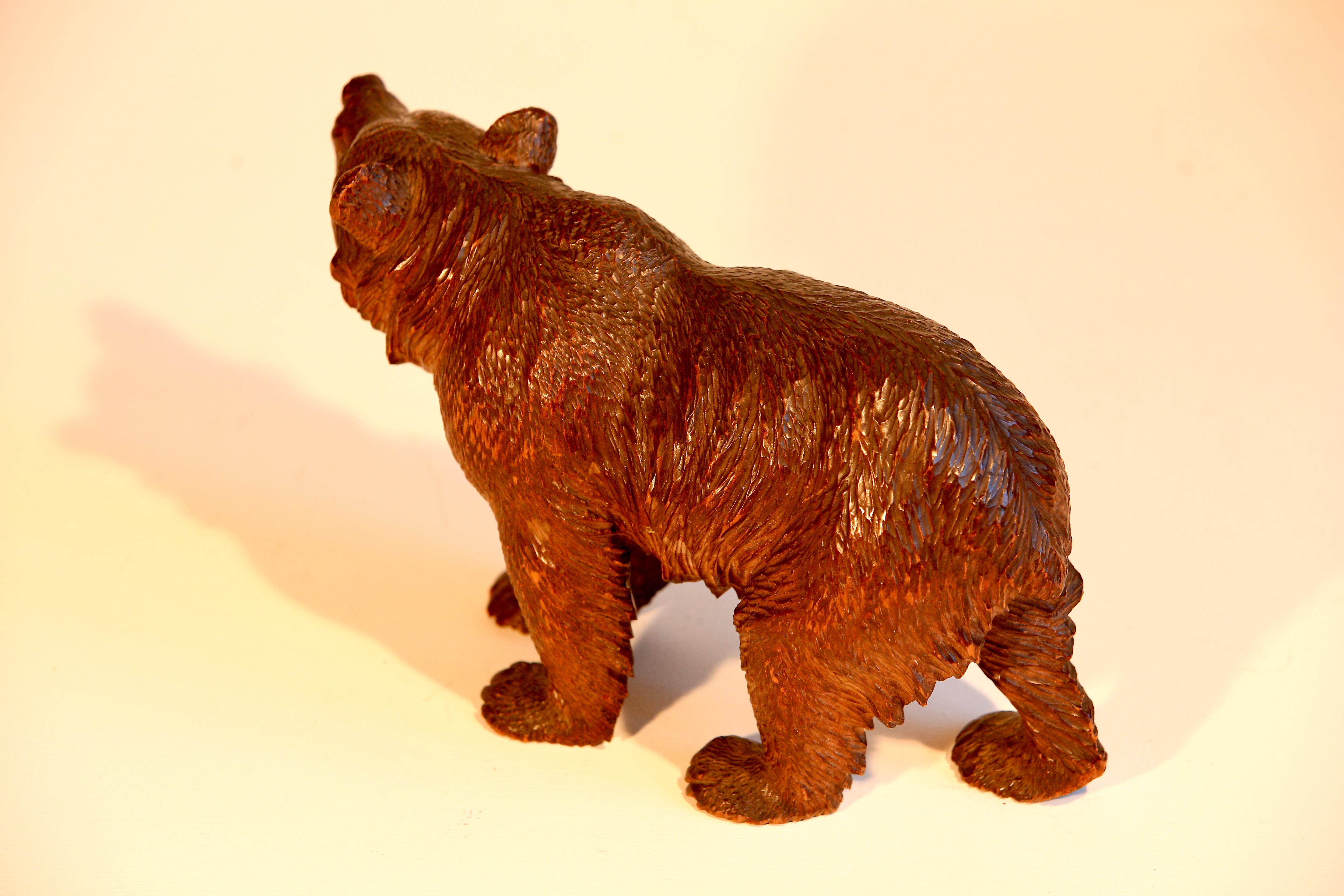 Black Forest Linden  Wood Carved Swiss Bear Glass Eyes For Sale 1