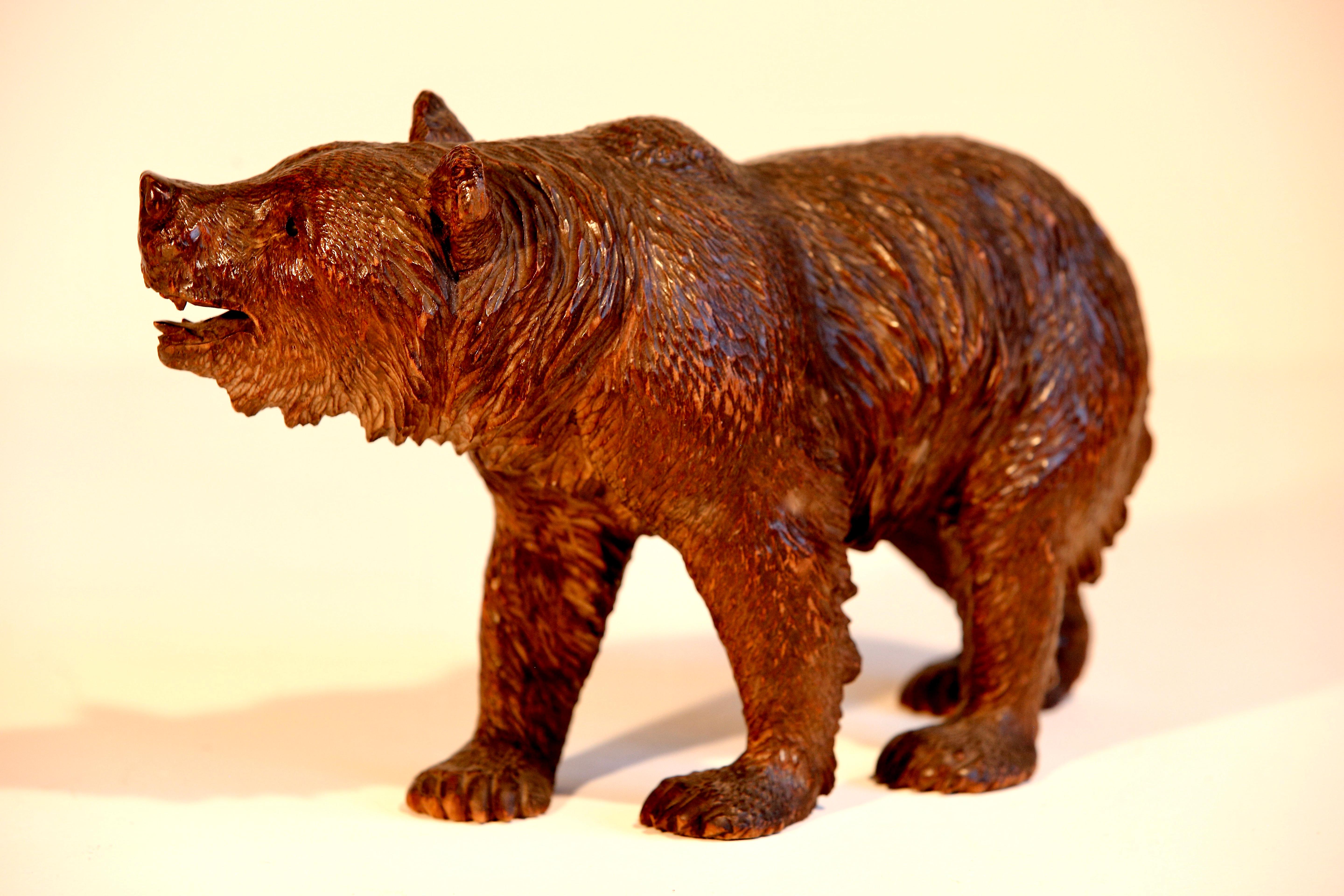 Black Forest Linden  Wood Carved Swiss Bear Glass Eyes For Sale 2
