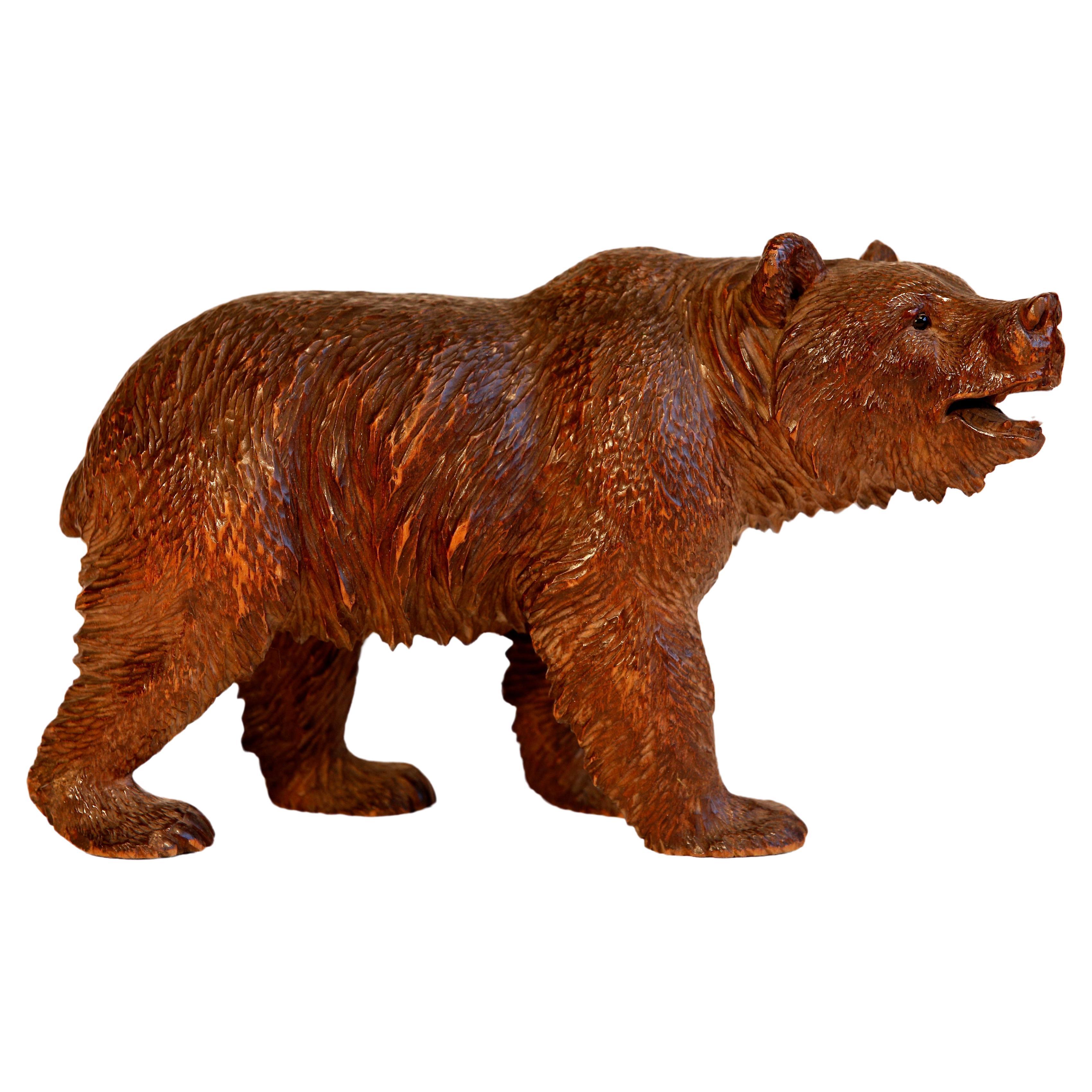 Black Forest Linden  Wood Carved Swiss Bear Glass Eyes For Sale