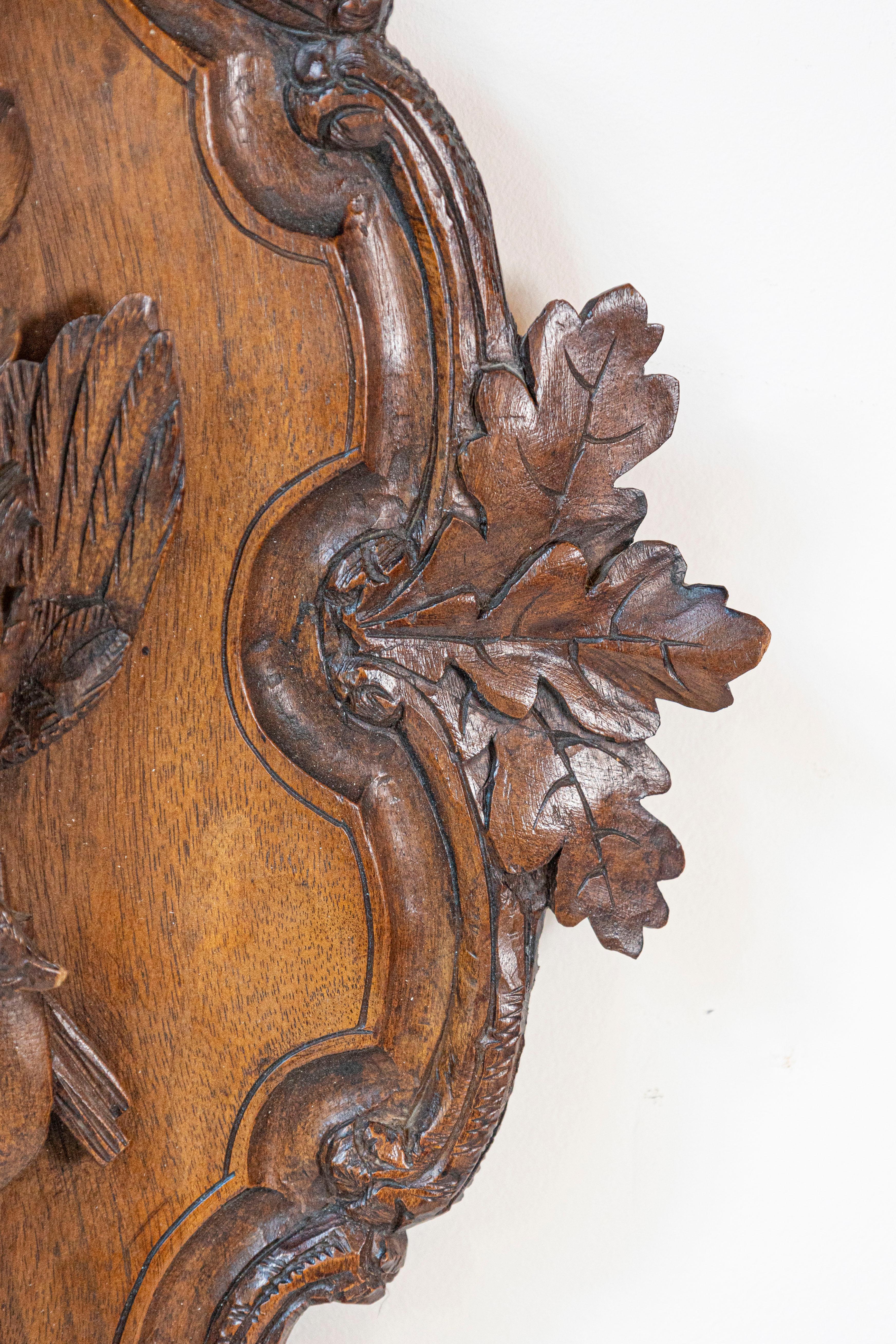 Black Forest Period 19th Century German Oak Wall Carving with Hunting Trophy For Sale 4