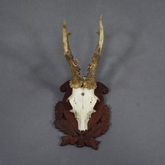 Black Forest Red Deer Trophy on Carved Plaque ca. 1950s