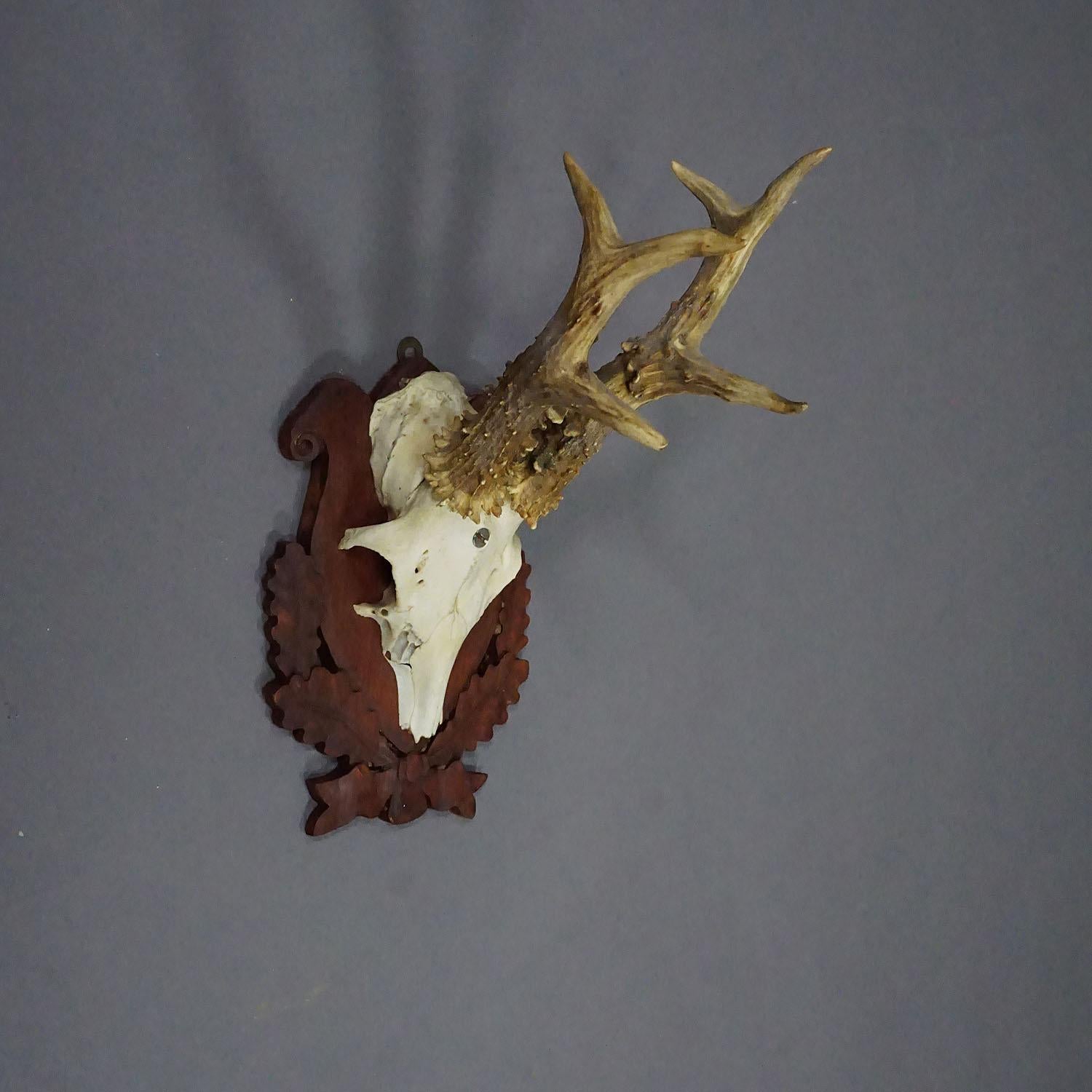 Mid-20th Century Black Forest Red Deer Trophy on Carved Plaque ca. 1950s For Sale