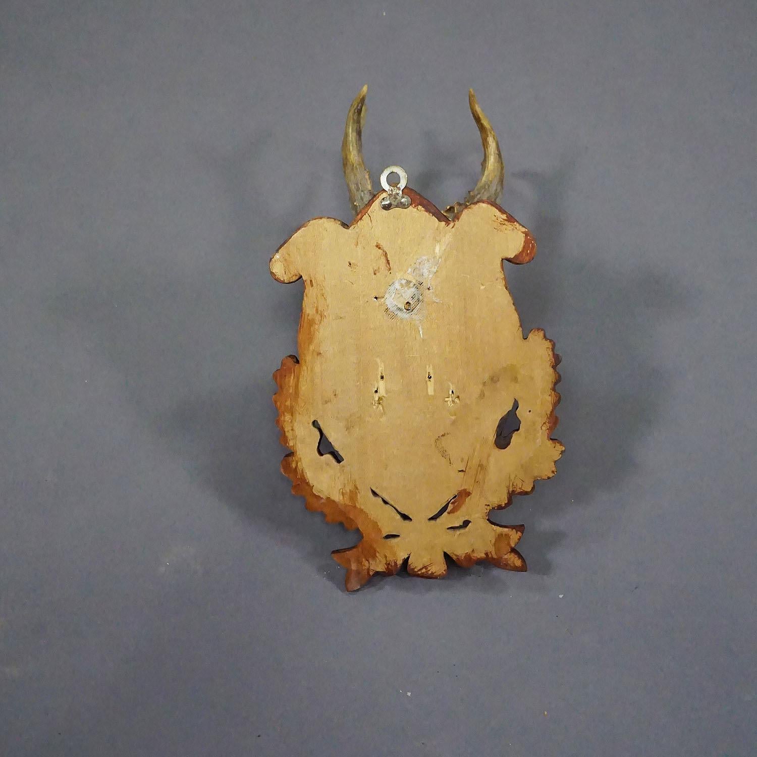 Black Forest Red Deer Trophy on Carved Plaque ca. 1950s For Sale 1