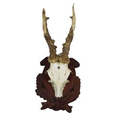 Black Forest Red Deer Trophy on Carved Plaque ca. 1950s