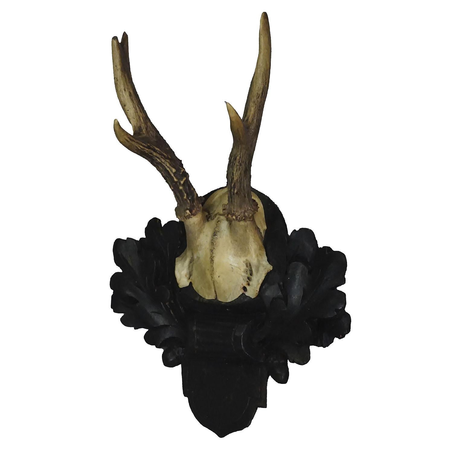 Black Forest Red Deer Trophy on Carved Plaque In Good Condition For Sale In Berghuelen, DE