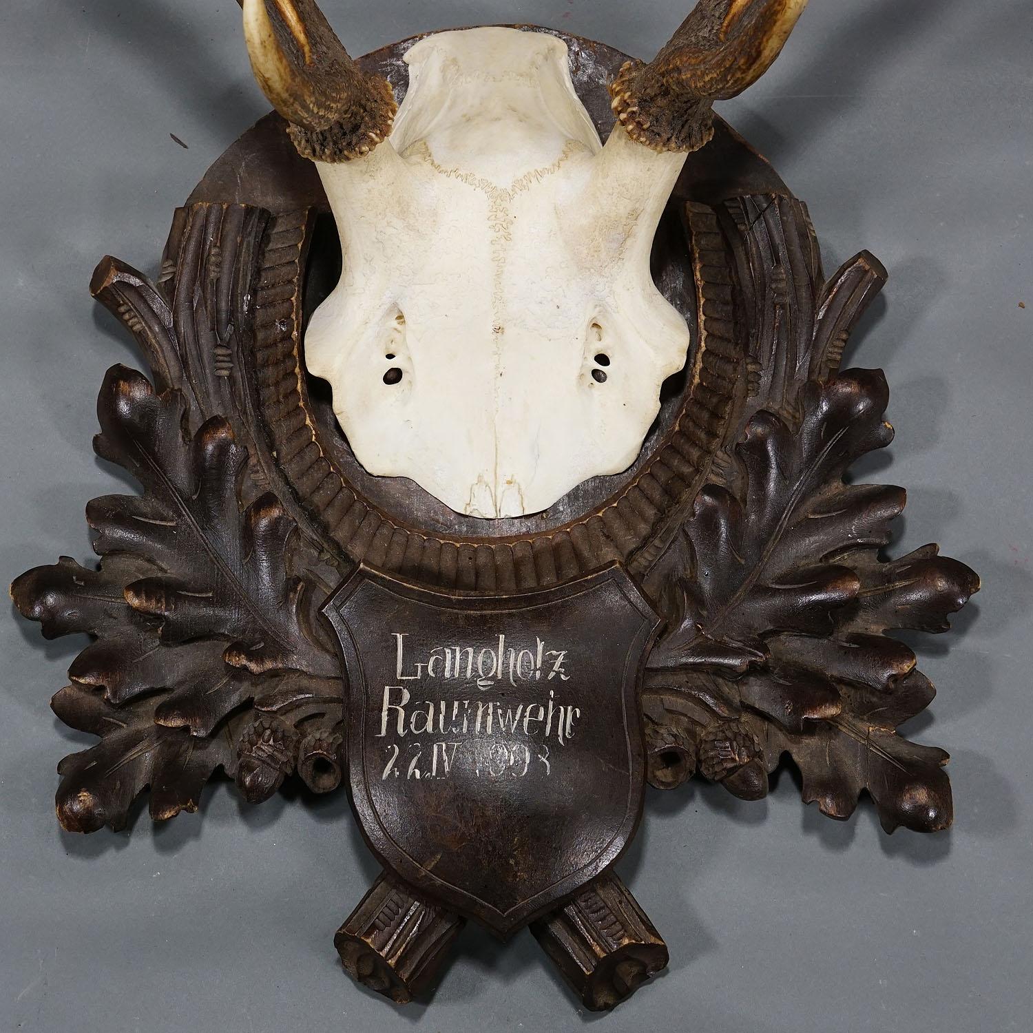 20th Century Black Forest Red Deer Trophy on Carved Wooden Plaque 1908 For Sale