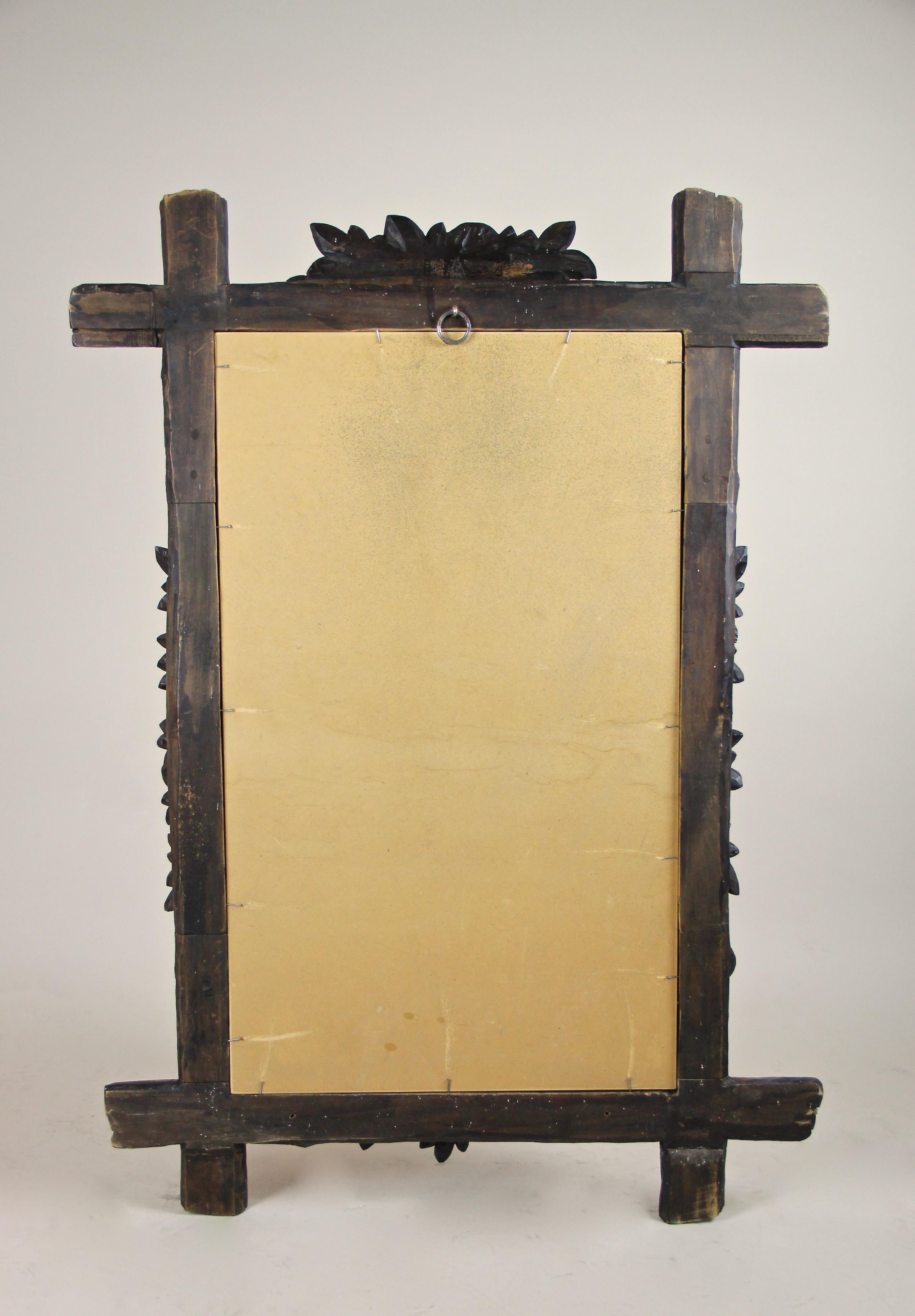 Black Forest Rustic Wall Mirror with Leaf Carvings, Austria, circa 1880 13