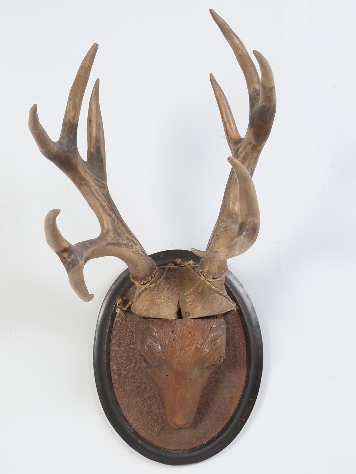 Carved Black Forest style stag or deer head, mounted with a real pair of antlers. The carved Black Forest stag was found in the south of France and probably originated in Austria or Germany.