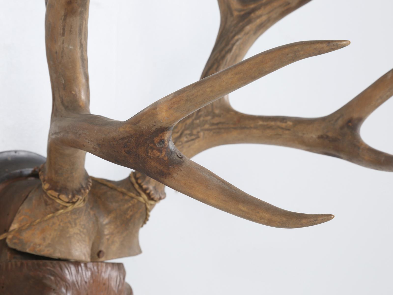 Black Forest Style Carved Wooden Stag Head with Real Antlers Mounted 10