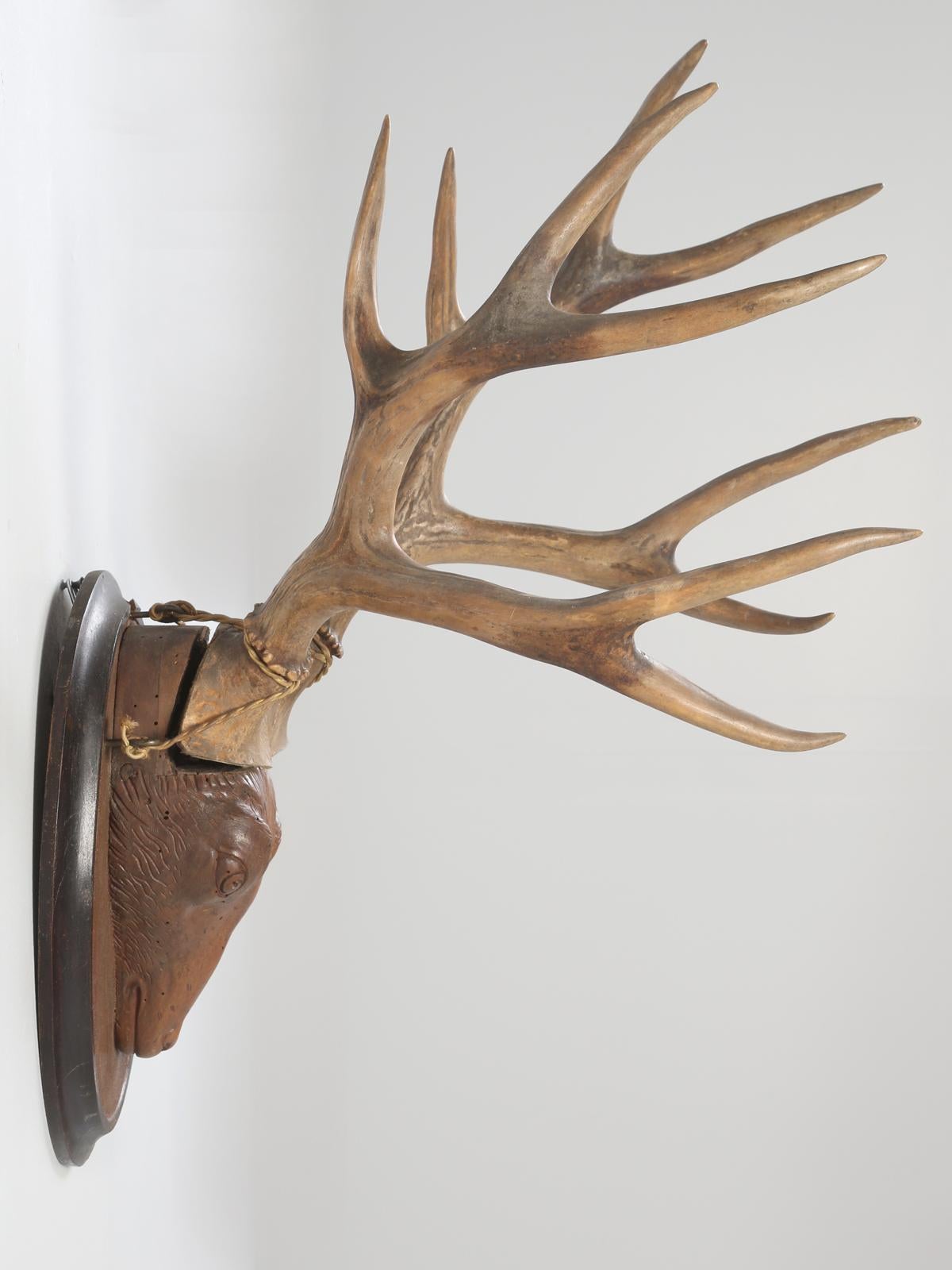 wooden stags head