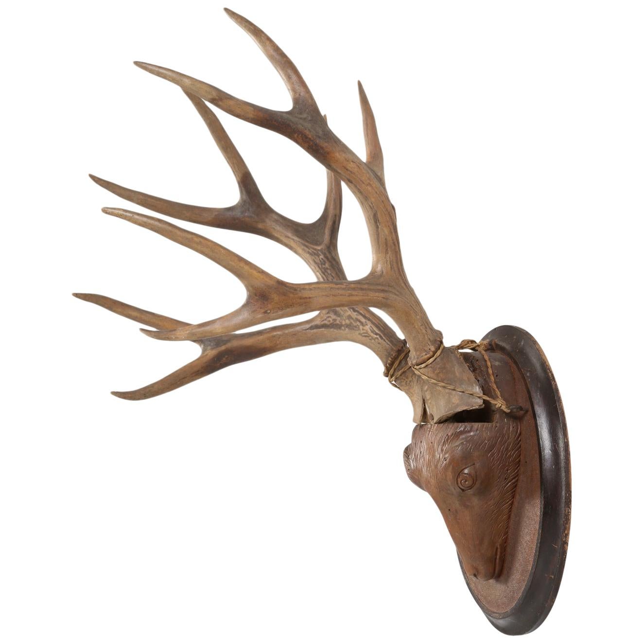 Black Forest Style Carved Wooden Stag Head with Real Antlers Mounted